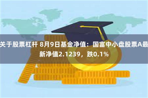 关于股票杠杆 8月9日基金净值：国富中小盘股票A最新净值2.1239，跌0.1%