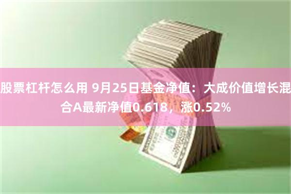 股票杠杆怎么用 9月25日基金净值：大成价值增长混合A最新净值0.618，涨0.52%