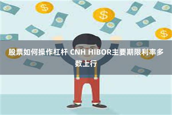 股票如何操作杠杆 CNH HIBOR主要期限利率多数上行