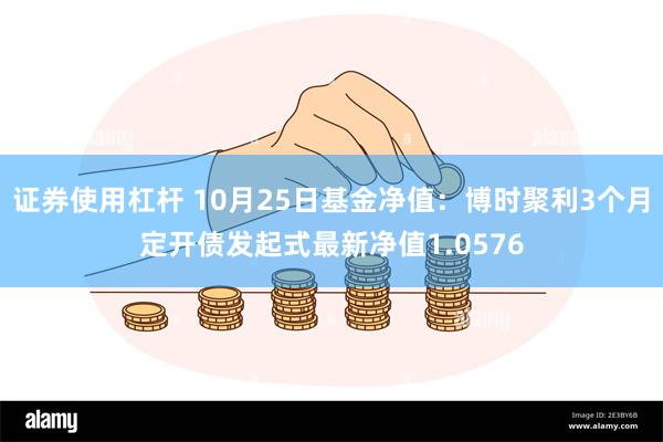 证券使用杠杆 10月25日基金净值：博时聚利3个月定开债发起式最新净值1.0576