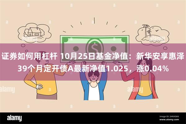 证券如何用杠杆 10月25日基金净值：新华安享惠泽39个月定开债A最新净值1.025，涨0.04%