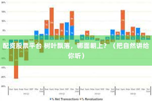 配资股票平台 树叶飘落，哪面朝上？（把自然讲给你听）