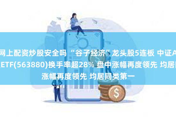 网上配资炒股安全吗 “谷子经济”龙头股5连板 中证A500指数ETF(563880)换手率超28% 盘中涨幅再度领先 均居同类第一