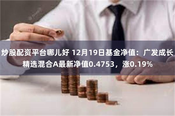 炒股配资平台哪儿好 12月19日基金净值：广发成长精选混合A最新净值0.4753，涨0.19%