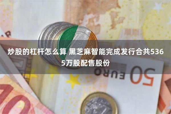 炒股的杠杆怎么算 黑芝麻智能完成发行合共5365万股配售股份