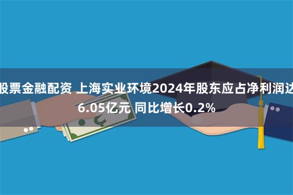 股票金融配资 上海实业环境2024年股东应占净利润达6.05亿元 同比增长0.2%