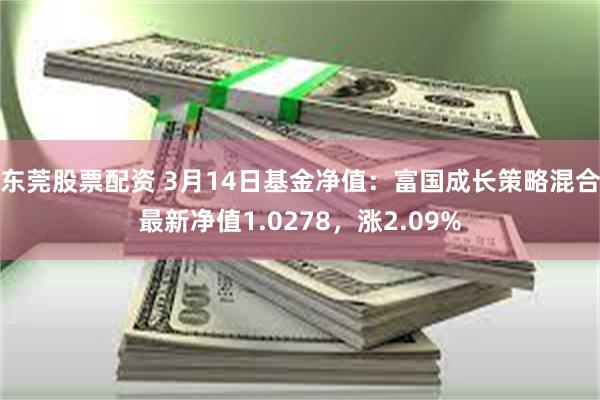 东莞股票配资 3月14日基金净值：富国成长策略混合最新净值1.0278，涨2.09%